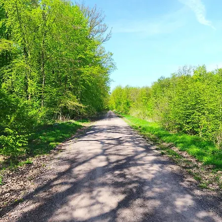 Margarete 펜션 Dankerode (Saxony-Anhalt)