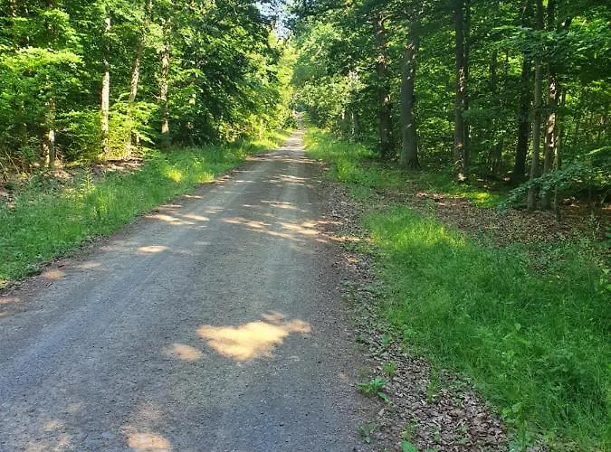 Margarete 펜션 Dankerode (Saxony-Anhalt)