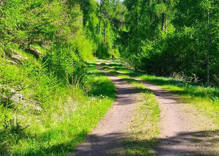 Margarete * Dankerode (Saxony-Anhalt)