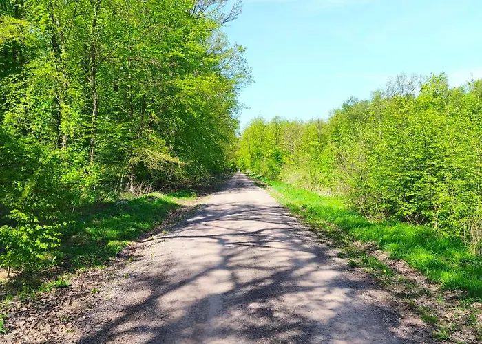 Margarete 펜션 Dankerode (Saxony-Anhalt)