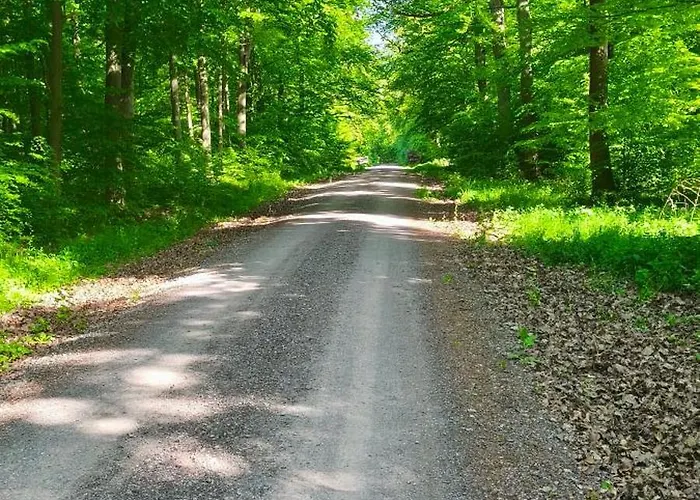 Margarete 펜션 Dankerode (Saxony-Anhalt)